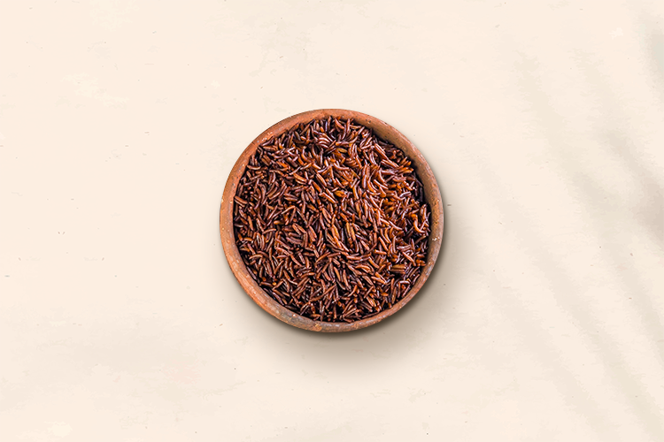 رز صيادية صغير