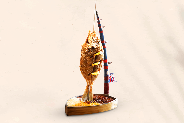 سمك شعور  قمر سنارة